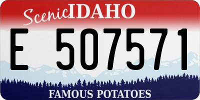 ID license plate E507571