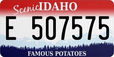 ID license plate E507575