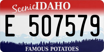 ID license plate E507579
