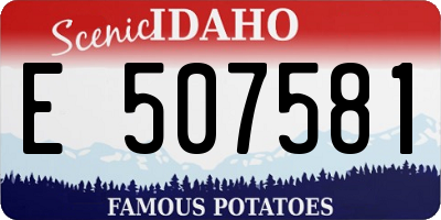 ID license plate E507581