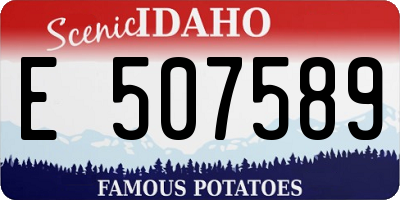 ID license plate E507589