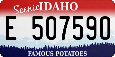 ID license plate E507590