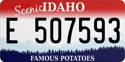 ID license plate E507593