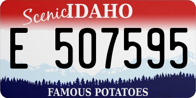 ID license plate E507595