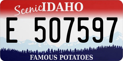 ID license plate E507597