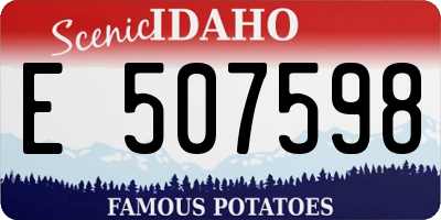 ID license plate E507598