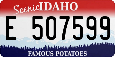 ID license plate E507599