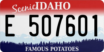 ID license plate E507601
