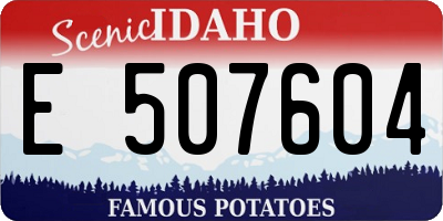 ID license plate E507604