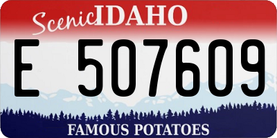 ID license plate E507609