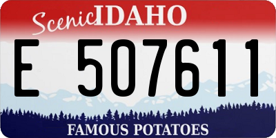 ID license plate E507611