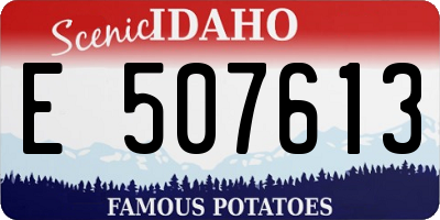 ID license plate E507613