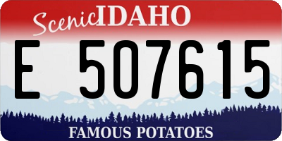 ID license plate E507615