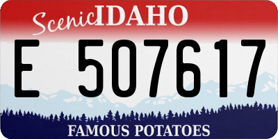 ID license plate E507617