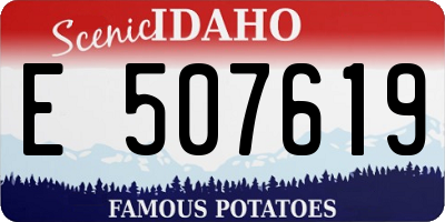 ID license plate E507619