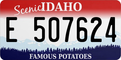ID license plate E507624
