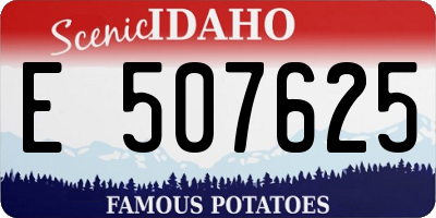 ID license plate E507625