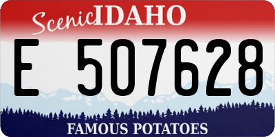 ID license plate E507628