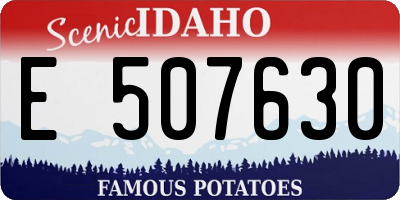 ID license plate E507630