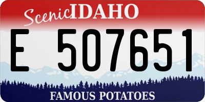 ID license plate E507651