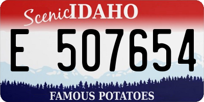 ID license plate E507654
