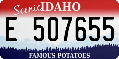 ID license plate E507655