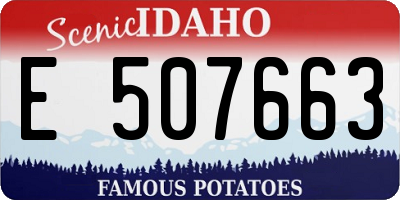 ID license plate E507663