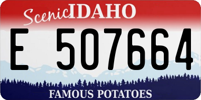 ID license plate E507664