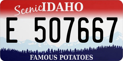 ID license plate E507667
