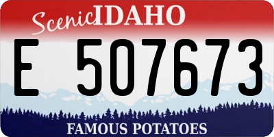 ID license plate E507673