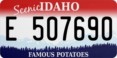 ID license plate E507690