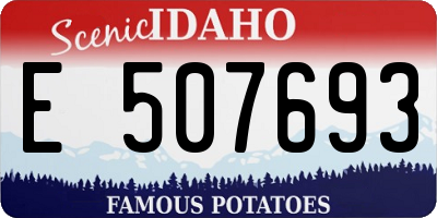 ID license plate E507693