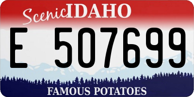 ID license plate E507699