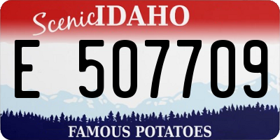 ID license plate E507709