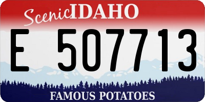 ID license plate E507713