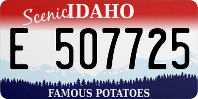 ID license plate E507725