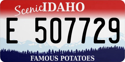ID license plate E507729