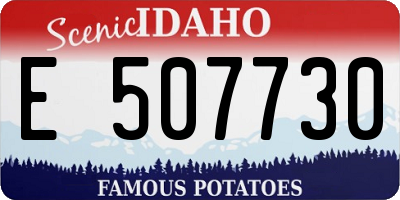 ID license plate E507730