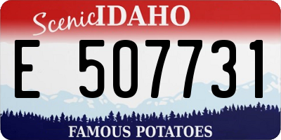 ID license plate E507731