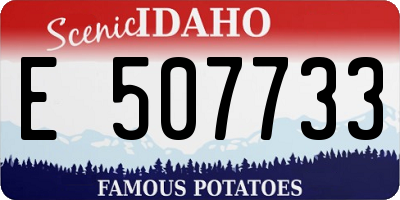 ID license plate E507733