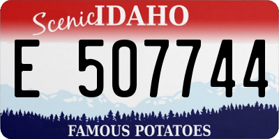 ID license plate E507744