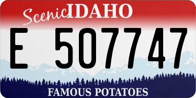 ID license plate E507747