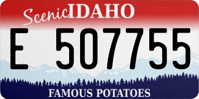 ID license plate E507755