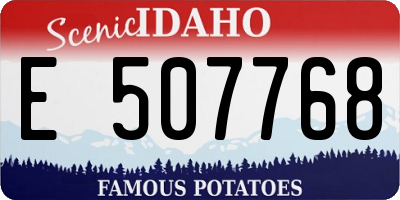 ID license plate E507768