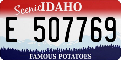 ID license plate E507769