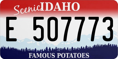 ID license plate E507773