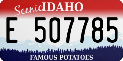 ID license plate E507785
