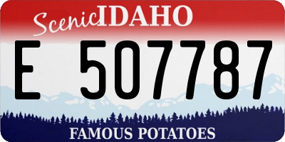 ID license plate E507787