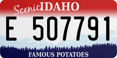 ID license plate E507791