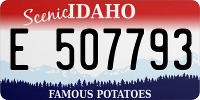 ID license plate E507793